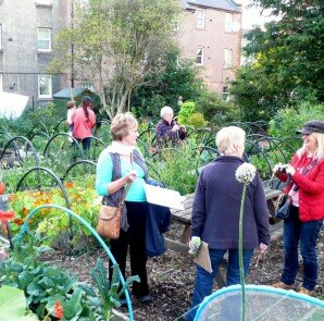 community garden 1