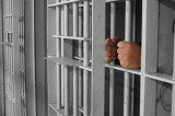 Nearly half of European jails overfilled