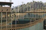 Guantanamo lawyer found dead… Guantanamo lawyer found dead…