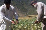 How the UK brings corruption and buys influence in Afghanistan.